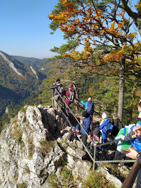 IMG 20211009 122420