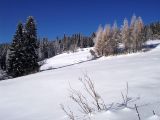 pict2027.jpg