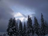 PICT0345.JPG