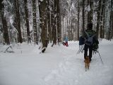 PICT0351.JPG