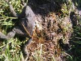 DSC00077.JPG