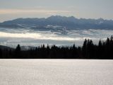 IMG_1786.JPG