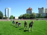 SDC11035.JPG