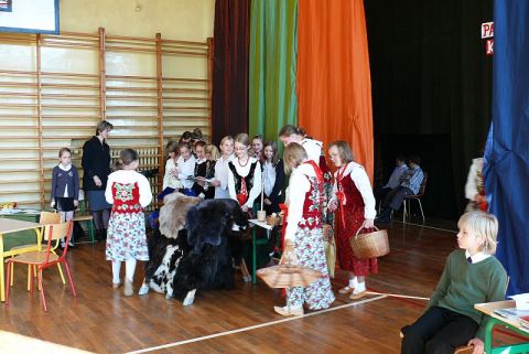 Kliknij aby zobaczyć pełny rozmiar