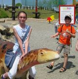 IMG_2242.JPG