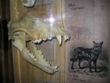 IMG_2155.JPG
