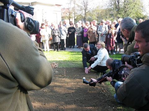 Kliknij aby zobaczyć pełny rozmiar