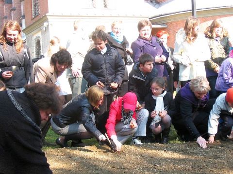 Kliknij aby zobaczyć pełny rozmiar
