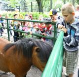 IMG_4312.JPG