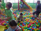 P1010881.JPG