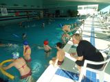 Nazwa pliku=DSC02793.JPG
Wielkość pliku=68KiB
Rozmiar=560x420
Data dodania= %28, %924 %2012 DSC02793.JPG