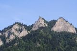 IMG_7291.JPG