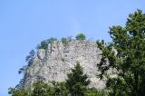 IMG_7302.JPG
