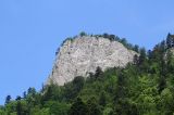 IMG_7303.JPG