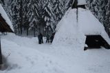 IMG_6805.JPG