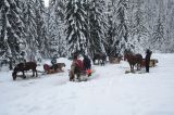 IMG_6807.JPG
