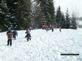 S7303821_modified.jpg