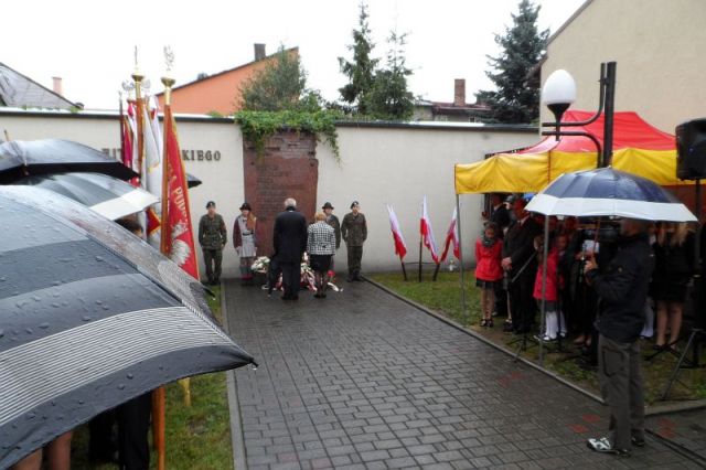 Kliknij aby zobaczyć pełny rozmiar
