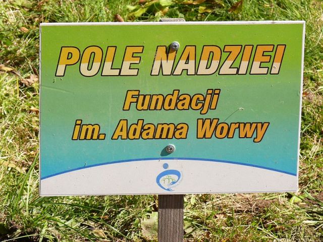 Kliknij aby zobaczyć pełny rozmiar