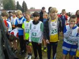 20131009_111717.jpg