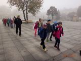 DSC00973.jpg
