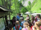 IMG_2167.JPG