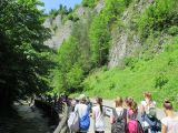 IMG_2172.JPG