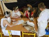 image043.jpg