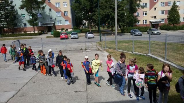 Kliknij aby zobaczyć pełny rozmiar