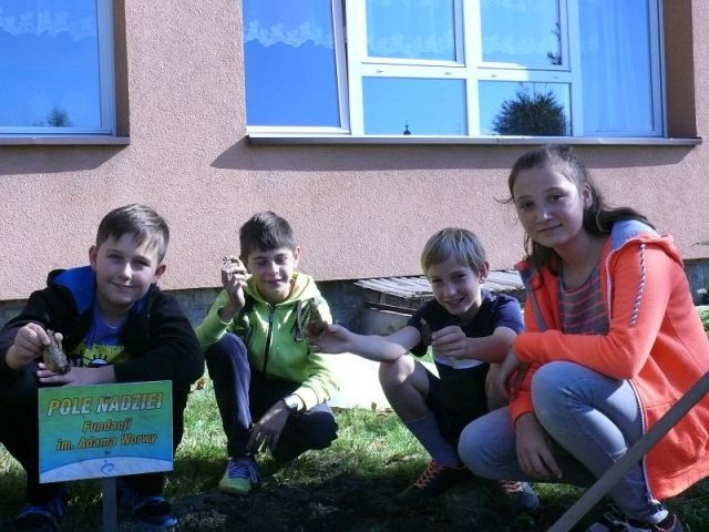 Kliknij aby zobaczyć pełny rozmiar