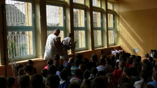 Kliknij aby zobaczyć pełny rozmiar