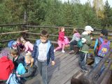 Nazwa pliku=DSCF5392.JPG
Wielkość pliku=156KiB
Rozmiar=800x600
Data dodania= %22, %559 %2014 DSCF5392.JPG