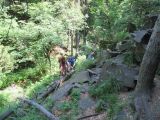 IMG_4120.JPG
