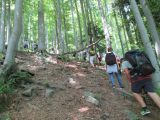 IMG_4145.JPG