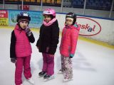 IMG_0238.JPG
