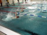 SDC16166.JPG
