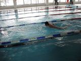 SDC16171.JPG
