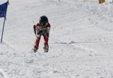 IMG_2726.JPG