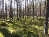 DSCF2099.JPG