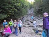IMG_4534.JPG