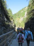 IMG_4552.JPG