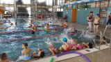 Nazwa pliku=20170627_102820.jpg
Wielkość pliku=119KiB
Rozmiar=800x450
Data dodania= %03, %389 %2017 20170627_102820.jpg