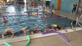 Nazwa pliku=20170627_102934.jpg
Wielkość pliku=102KiB
Rozmiar=800x450
Data dodania= %03, %389 %2017 20170627_102934.jpg