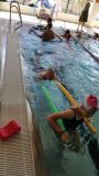 Nazwa pliku=20170627_103352.jpg
Wielkość pliku=106KiB
Rozmiar=450x800
Data dodania= %03, %389 %2017 20170627_103352.jpg