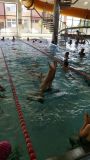 20170627_104806.jpg
