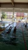 20170627_104824.jpg