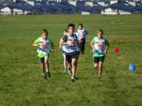 Nazwa pliku=DSC03172.JPG
Wielkość pliku=447KiB
Rozmiar=800x600
Data dodania= %02, %540 %2016 DSC03172.JPG