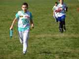 Nazwa pliku=DSC03174.JPG
Wielkość pliku=423KiB
Rozmiar=800x600
Data dodania= %02, %540 %2016 DSC03174.JPG