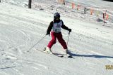 IMG_7919.JPG