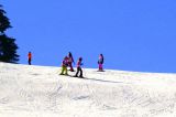 IMG_7946.JPG